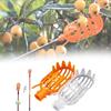 Utensili a Mano Raccoglifrutta Multicolore Plastica Strumento per Raccolta Frutta Raccoglitore Strumenti Agricoli per Raccolta Bacche di Alloro e Giuggiole