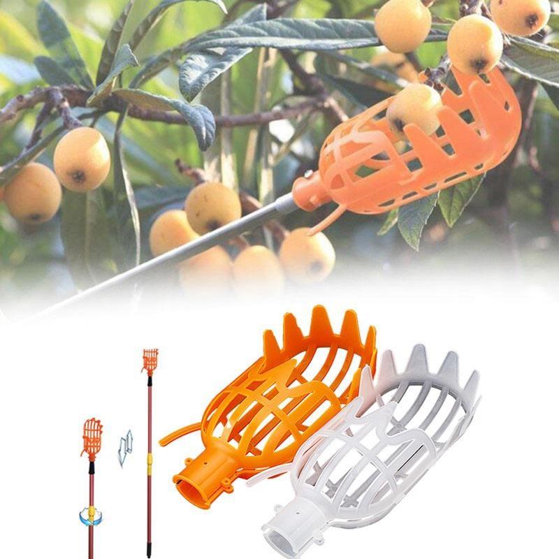 Utensili a Mano Raccoglifrutta Multicolore Plastica Strumento per Raccolta Frutta Raccoglitore Strumenti Agricoli per Raccolta Bacche di Alloro e Giuggiole