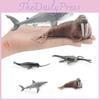 Vibrant Plastic Marine Animal Models Including Dragon Whale Shark Sea Lion And Beaked Whale For Collectors