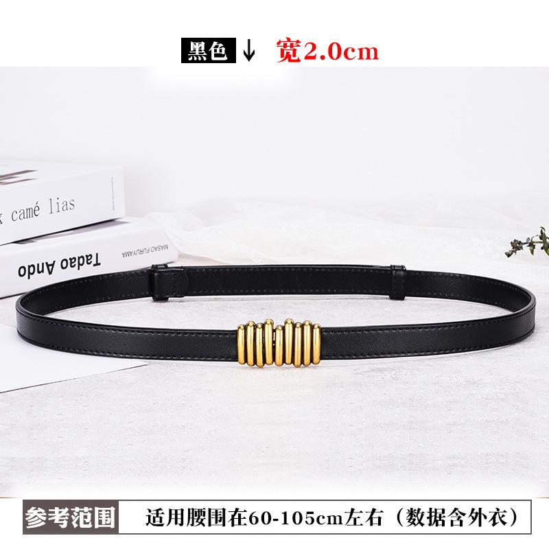Simple Women'S Thin Belt Leather Decorative Suit Belt With Skirt Shirt Waist Chain