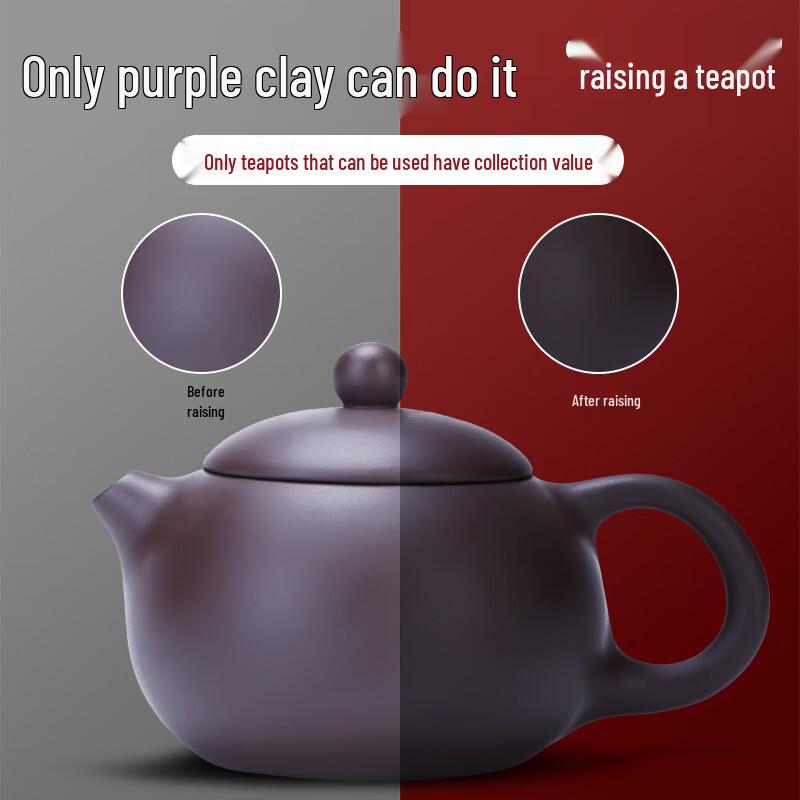 Qixuanyuan Purple Clay Gongfu Tea Set