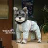 Dog Raincoat Waterproof Windproof Hooded Outdoor Jacket for Dogs Cats All Seasons Wear