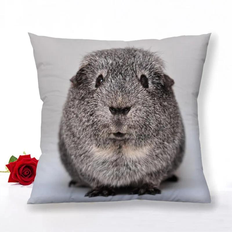Guinea Pig Zipper Pillowcase Home Decor Satin Square  Bedroom