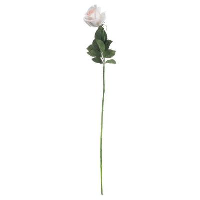 Künstliche einstämmige Teerose