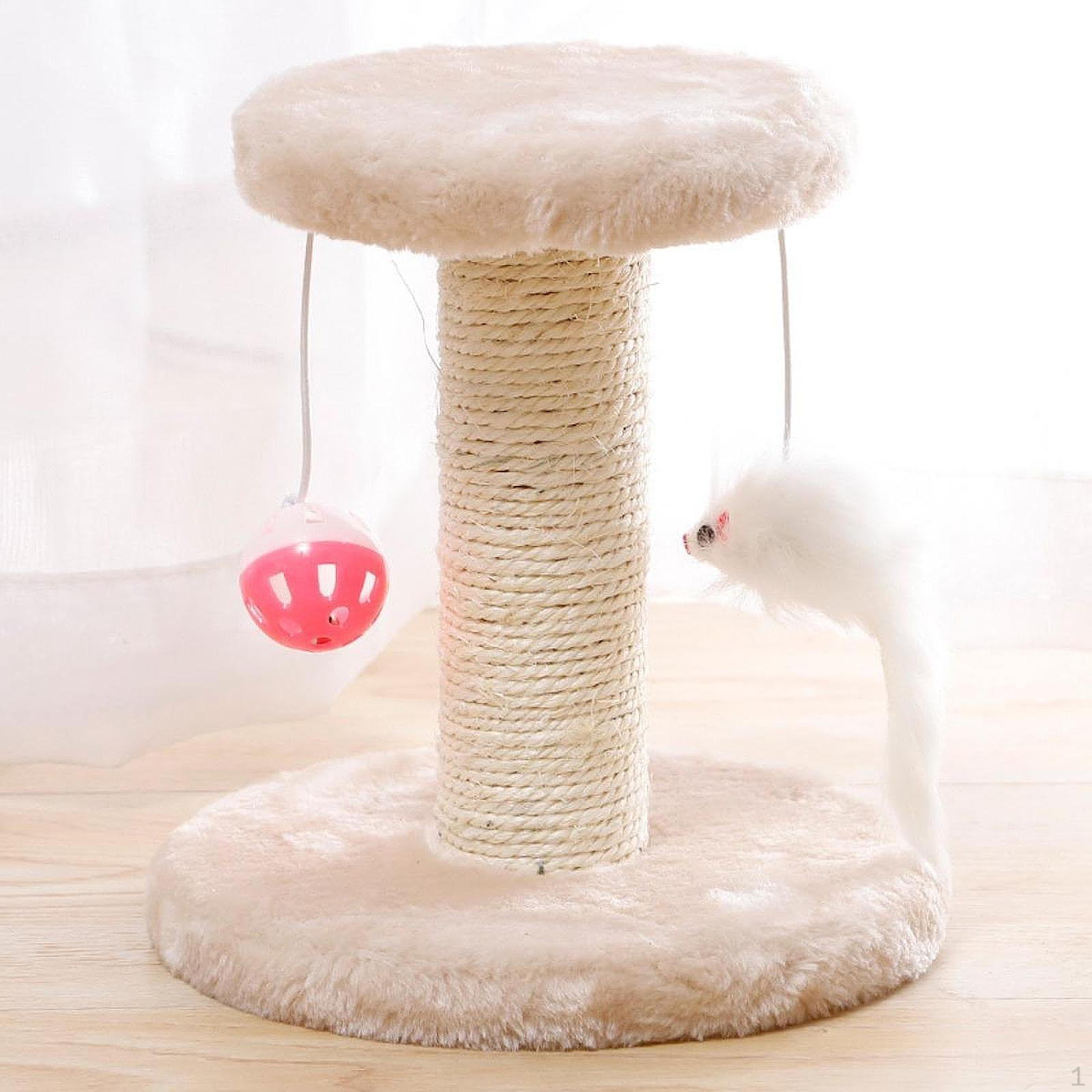 Cat Scratch Podt Stand Interactive Exercise