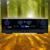 999BT Dual Dynamic Screen Digital Bluetooth Amplifier HiFi Stereo Sound AMP For Home Car Theatre Karaoke Meeting Max 4000W