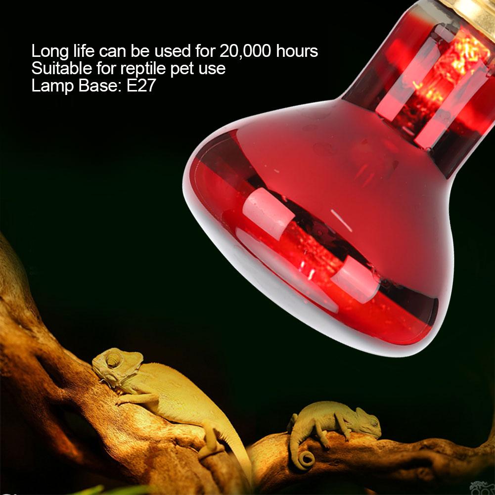 E27 R63 Infrarot Reptilien Glühbirne Tier Haustier Heizlicht Lampe Glühbirne für Schildkröte Schlange 60W