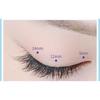 Mogugu - Glue-free False Eyelashes