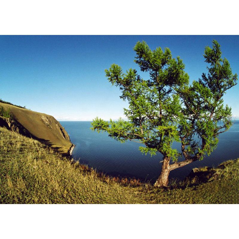 Siberian Scenery Poster: Kraft Paper Framed Wall Art