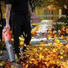 KAZZ KZ950L Cordless Electric Blower CN plug (adapter included)