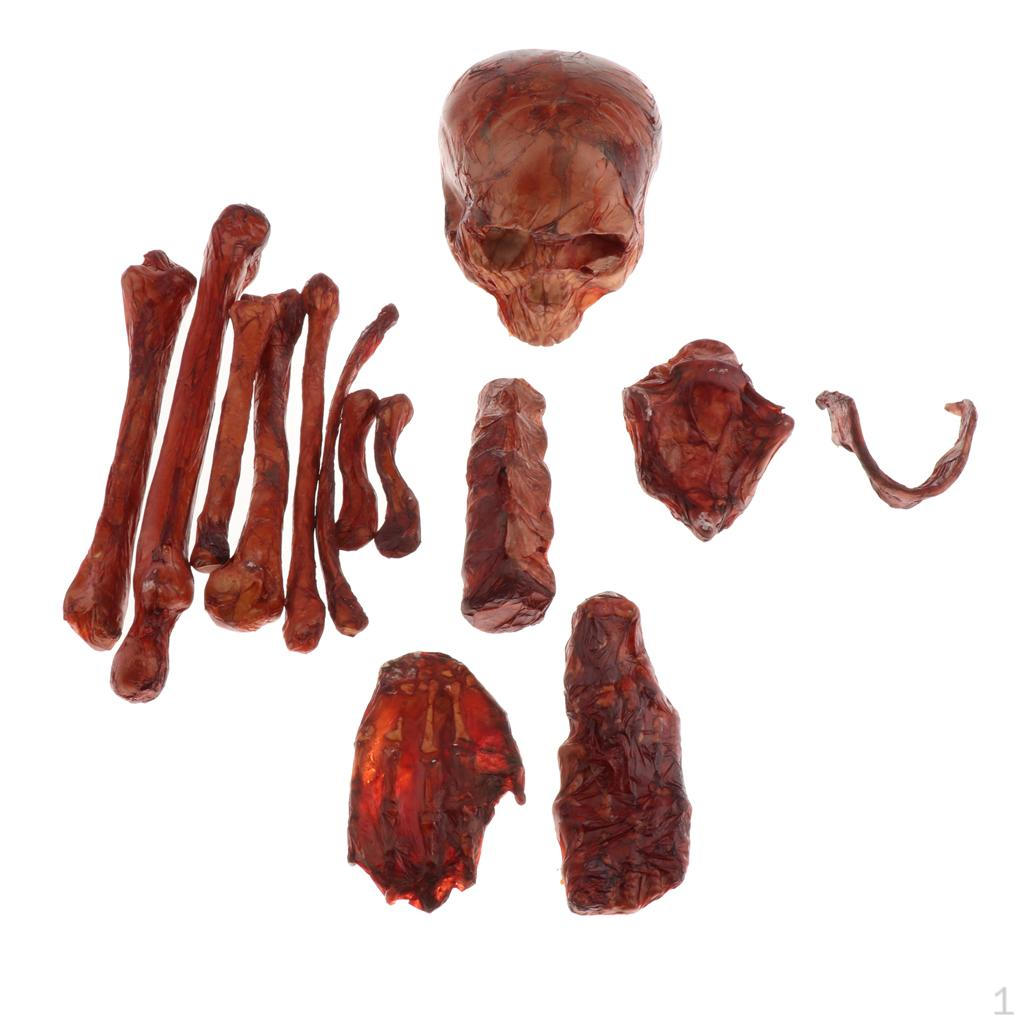 

Halloween Broken Skeleton Bones Props for Decor 14pcs