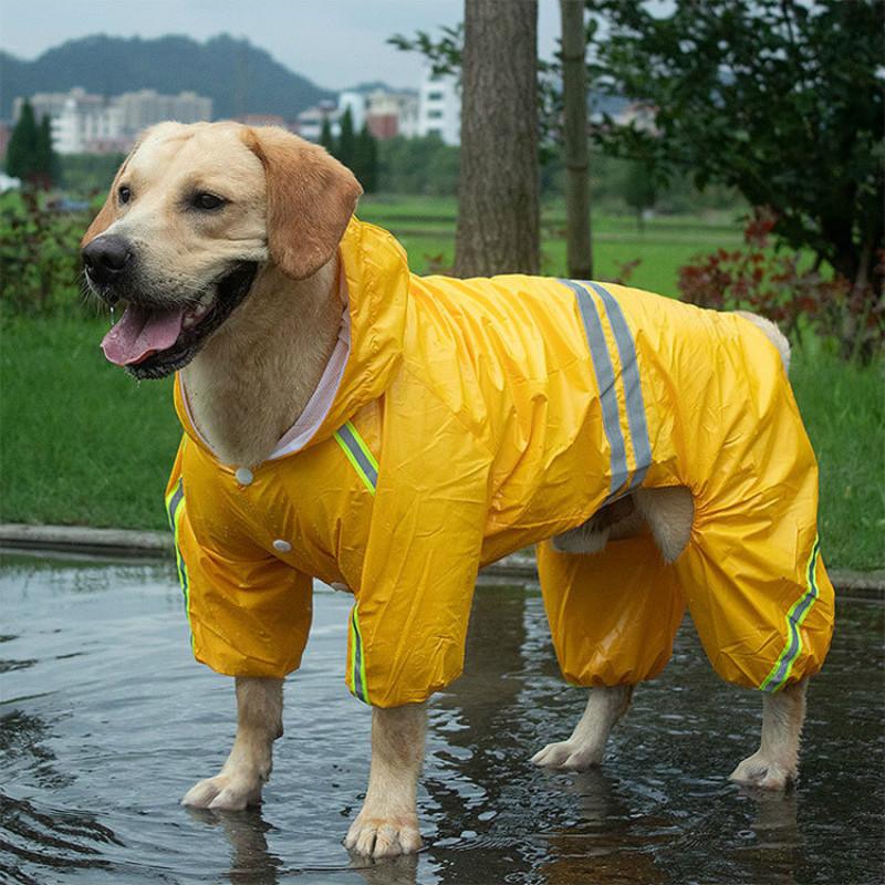large dog raincoat