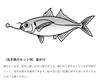 Gamakatsu Approved Aori Squid Jumping Up Perfect Rig Long L Size (Gamakatsu) NSB/Green 41-102