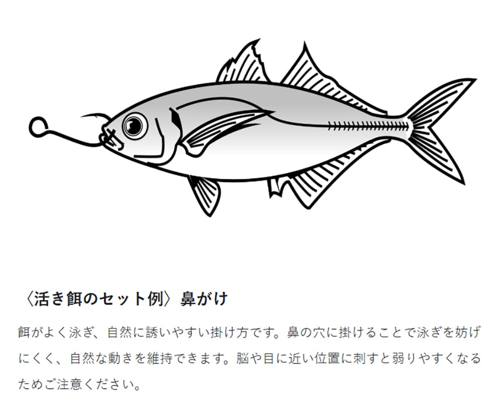 Gamakatsu Approved Aori Squid Jumping Up Perfect Rig Long L Size (Gamakatsu) NSB/Green 41-102