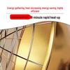 Piglet Brooding Halogen Heat Lamp with Shade