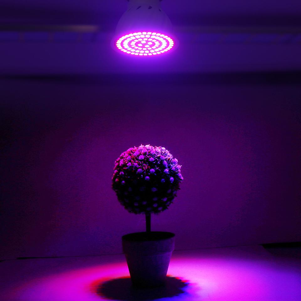 Led Grow Žárovka 220V E27 60 80LED LED Full Spectrum LED Rostlin Skleník Hydroponické Růst Světlo Vnitřní rostlina Fyto Květinová Lampa