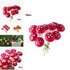 Exquisite Handicraft Miniature Colorful Mushroom Ornaments For Fairy Gardens