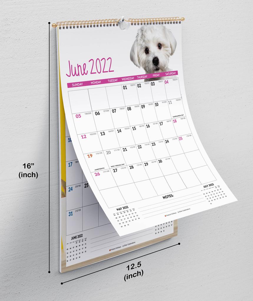 Inkdotpot Inkdotpot  16x12.5  Wall  Calendar  -Runs Until December 2023  Hanging Spiral Bound Monthly  Calendar  2022-2023