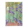 Paperblanks Notebook Hardcover Van Irises Grande A4 Lined Gogh's PB9617-7
