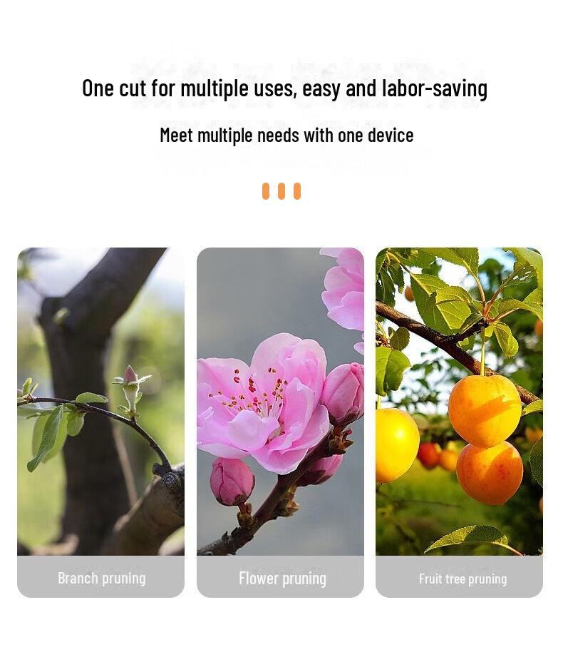 High-Power Multifunction Electric Pruning Scissors for Fruit Trees