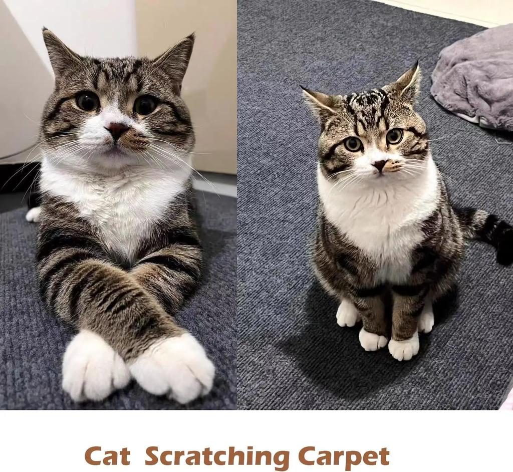 Felt Cloth Self-adhesive Acoustic Felt Self-adhesive Colour Backed Felt Industrial Felt Background Decoration