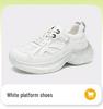 Women's 2025 Autumn/Winter Non-Slip Height-Enhancing Dad Sneakers: Breathable, Versatile Casual Footwear