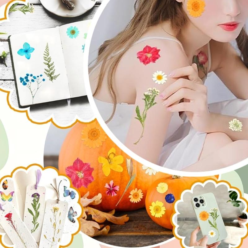 205Pcs Pressed Dried Flower For Resin Natural Dry Flower Leaf with Tweezers Sticker for Art Craft Candle Jewelry Making