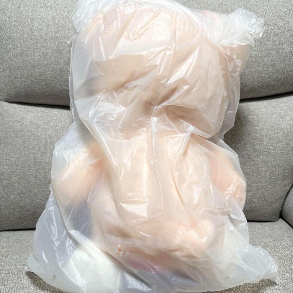 [USED] StrayKids SKZOO PLUSH Teddy Bear Ver. Papim