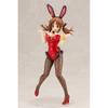 Idolmaster Cinderella Girls Princess Bunny Airi Tokij 1/8 Scale Painted PVC Figure