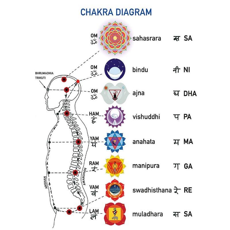 Chakra Mantras & Mudras Affirmations Yoga Poses Meditation Poster Canvas Printing Wall Art Picture Home Yoga Studio Decor