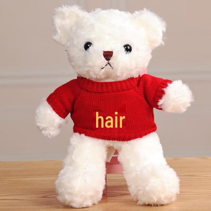 Teddy Bear Plush Toy