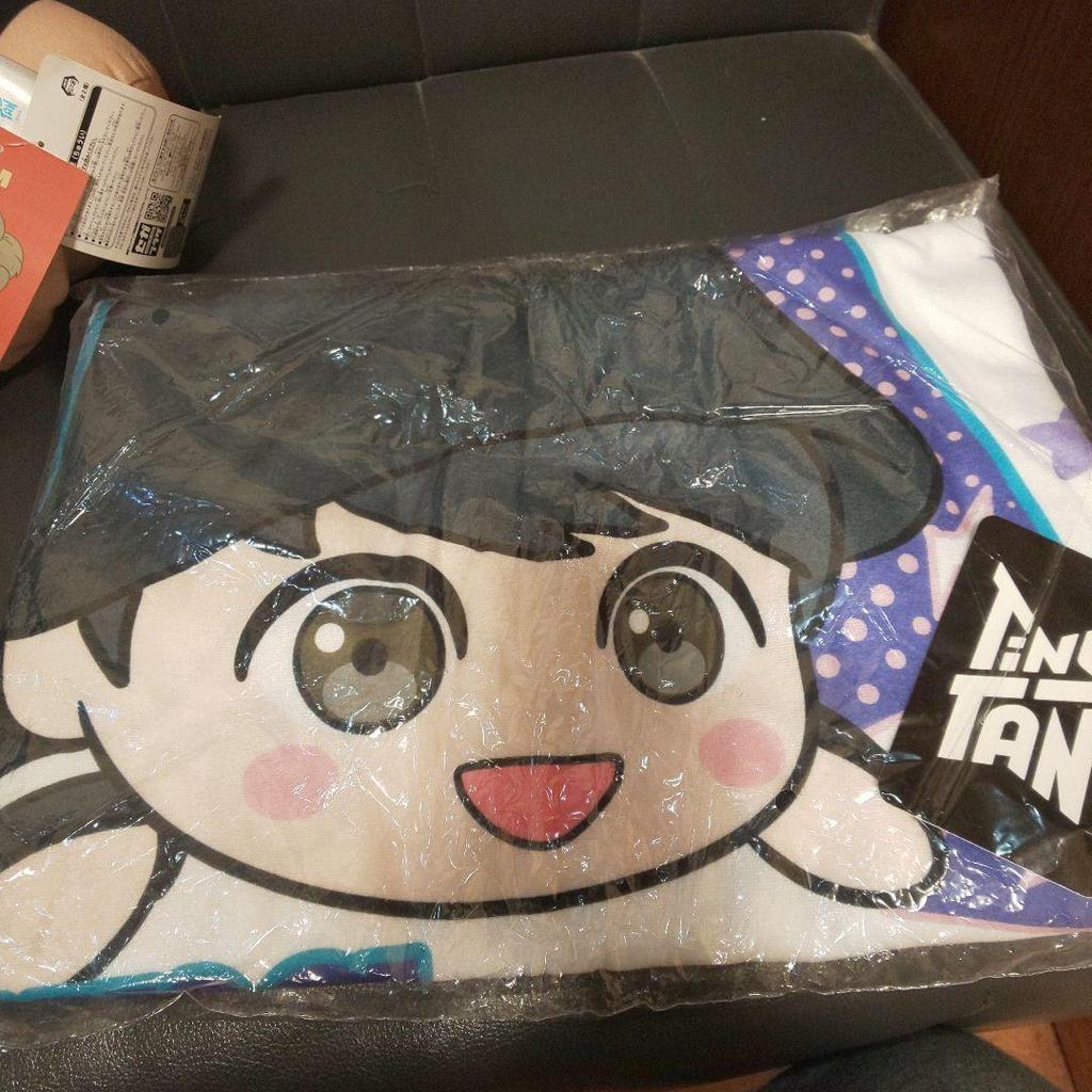 [USED] With Tags. TinyTAN Special Clingy Plush Toys (2 Figures) & Blanket.