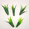 Three-Pronged Grass Seed Bonsai: Small Potted Simulation Lawn and Aquatic Plant