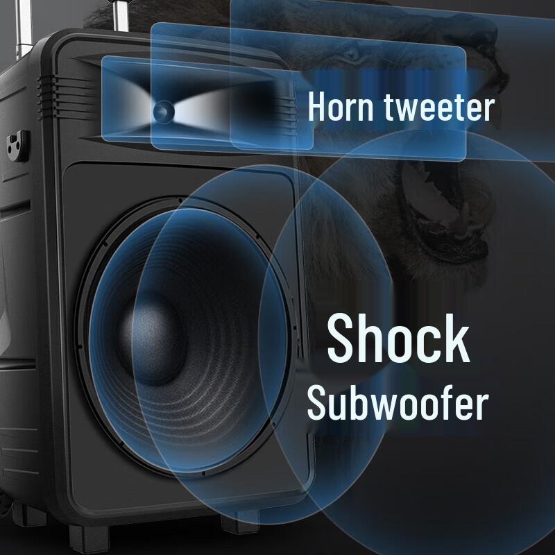 Sansui Portable Karaoke Trolley Speaker