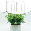 Compact Acrylic Plant Trellis for Indoor Gardens Supports Growth of Climbing Plants with Multiple Pole Design Options