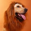 Fancy Pet Costume Lion Mane Wig For Cats And Dogs Premium Quality Halloween Cosplay