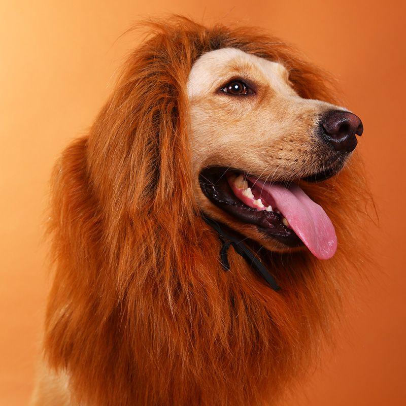 Fancy Pet Costume Lion Mane Wig For Cats And Dogs Premium Quality Halloween Cosplay