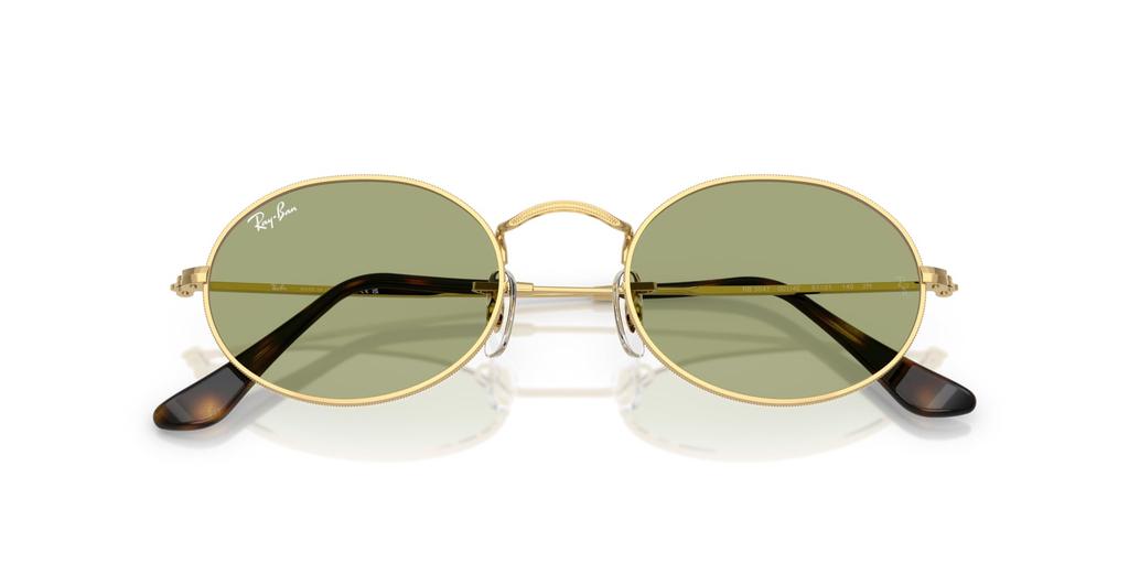 Sunglasses 0RB3547 OVAL ARISTA BOTTLE GREEN Polarized [Ray-Ban] 001/4E51