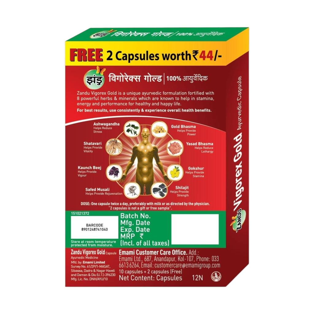 Zandu Vigorex Gold Ayurvedic Daily Energizer 20 Capsules Pack of 1 for Energy Stamina and Vitality