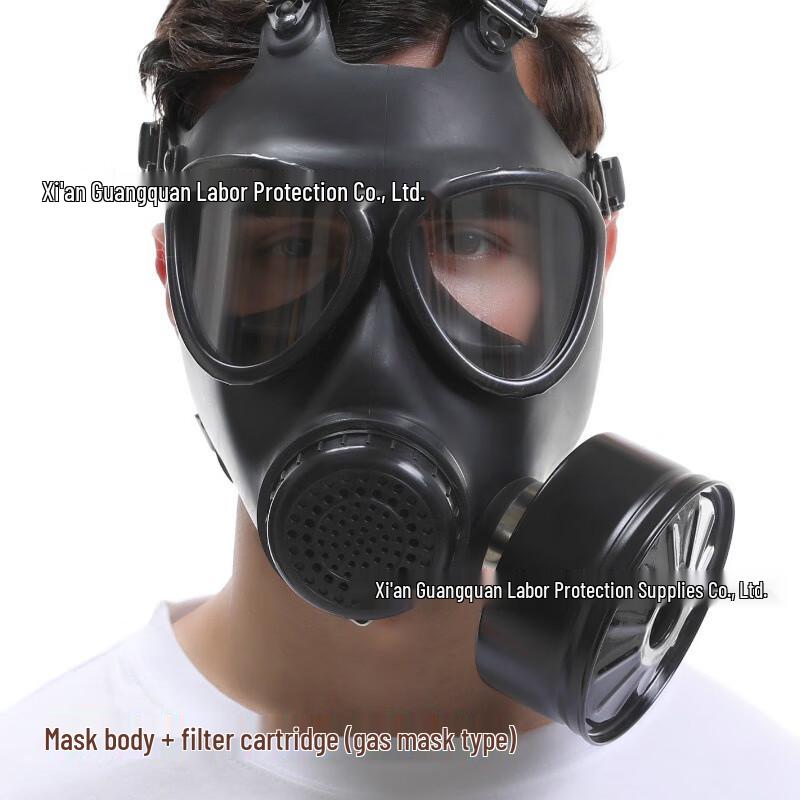SANSHENG05 Full Face Gas Mask One Size