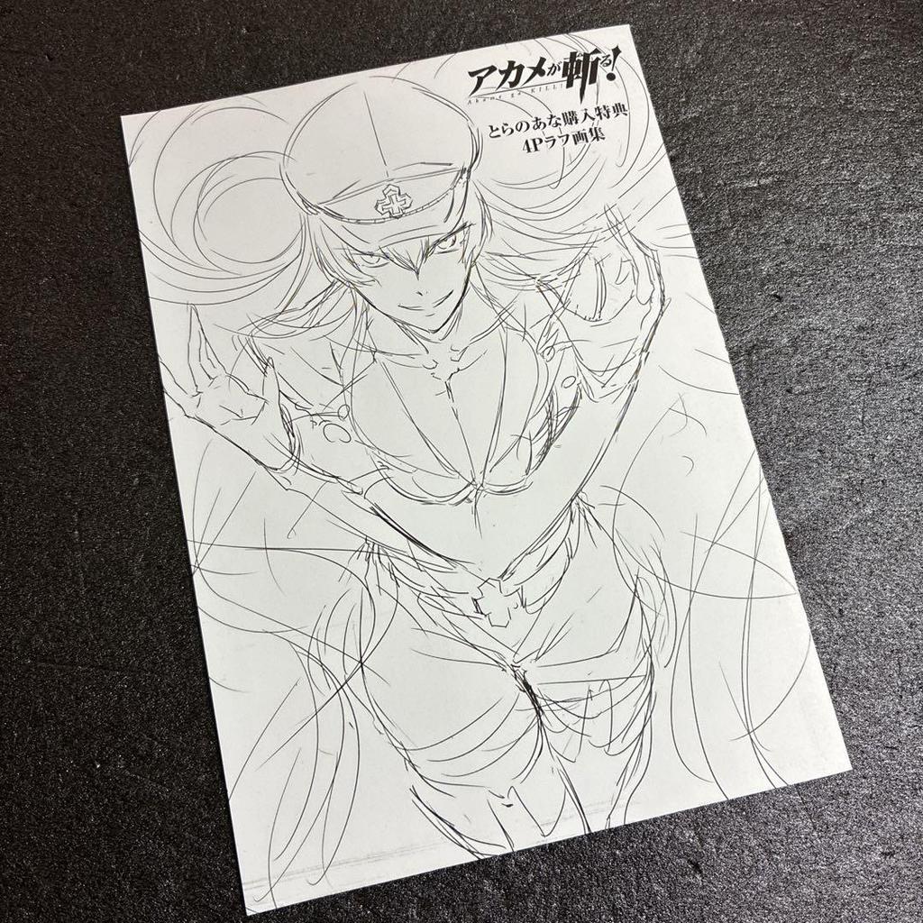 [USED] Akame ga Kill! Toranoana Purchase Bonus 4-page Rough Art Book Rare Esdeath