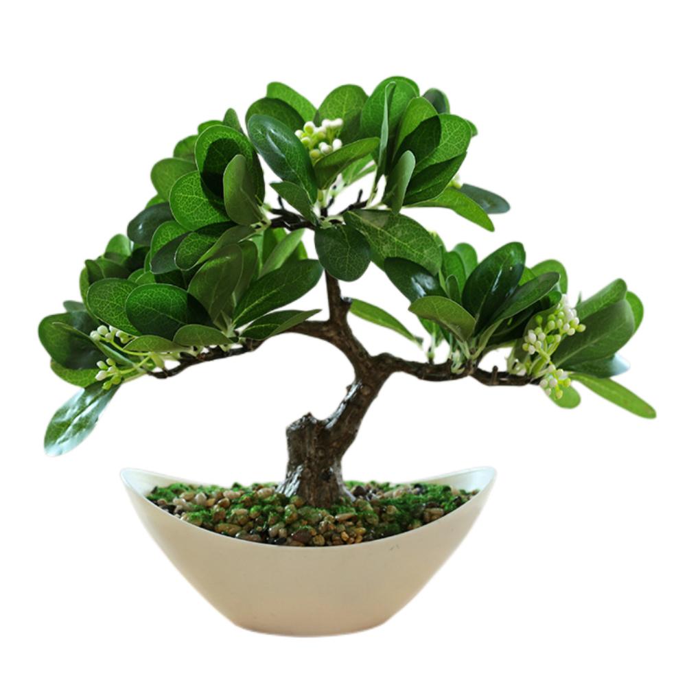 Artificial Plant Offices Parties Restaurants Shops