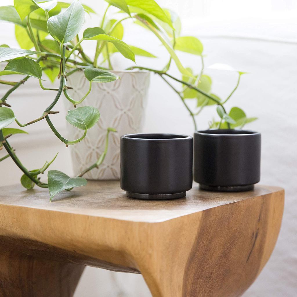 Fellow Monty Milk Art Coffee Cups for Latte and Stylish Ceramic Cups 3oz Set of Cups, Art, Cafes, Baristas, Double-Insulated (Black, (80ml) 2)