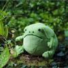 Adorable Ricky Rain Frog Plush Toy Soft Cartoon Frog Doll For Kids 30x25x20cm