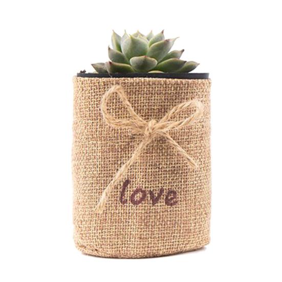 Yousheng Linen Succulents Planter Decorative Plant Pot for Succulents Cute Small Houseplant Container for Home Balcony Windowsill Table Decoration