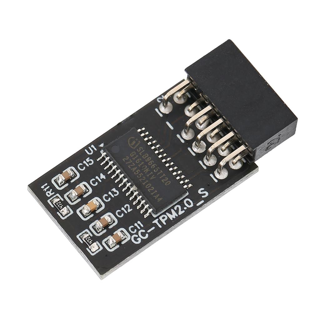 TPM 2.0 Encryption Security Module for 12Pin LPC Interface High Security Remote Card Encryption Security Module