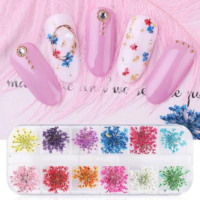 Flower Nail Art Decoration Real Mini Dried Blossom Natural Floral Stickers Nail Charms Diy Manicure Nails Accessories Home Salon