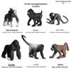 Children's Cognitive Simulation Primate Model: Gorilla & Golden Snub-nosed Monkey Wildlife Toy