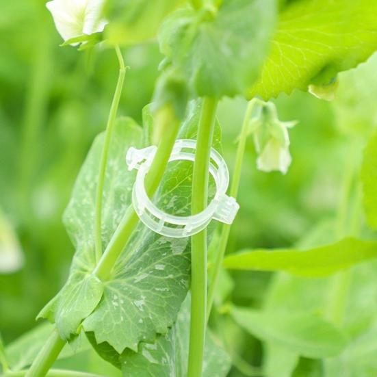 100 Pcs Plant Support Clips Plastic Gardening Clips for Securing Tomato Vine Reusable Plant Fixing Clips for Grape Climbing Plants