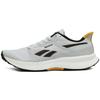 Floatride Energy 6 'Moon Grey Heritage Gold' Sneakers 100201164